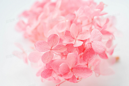 限时福利！热门日剧交换谎言日记官方中字免费放送