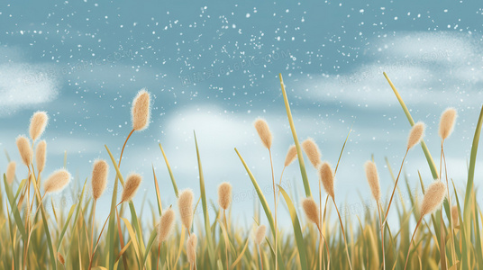 从山羊生活看印度独立电影的美学与社会关怀