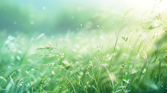 血色婚礼之后：追踪燃烧的婚纱全剧情关键节点