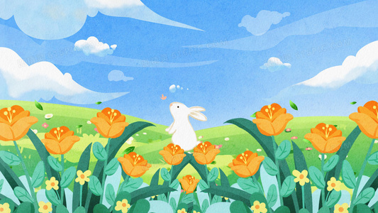 元洲街王后完整版在线观看：剧情亮点与演员阵容解析