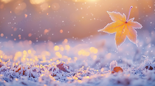 天津台德云社相声收视飘红，传统艺术受年轻观众追捧