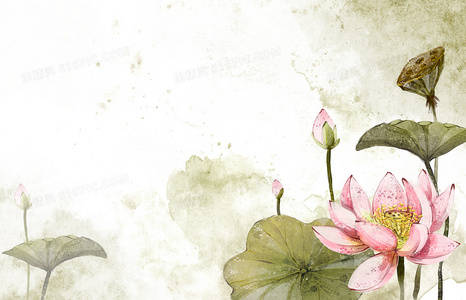 猎车兽魂:易寒觉醒冰封血脉中的终极战魂