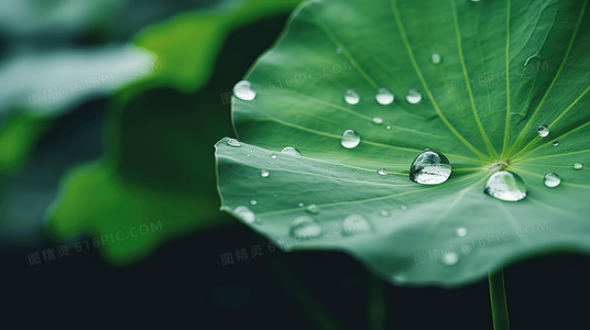 血色盟约：浅谈暗黑圣典前六集的核心冲突与主题