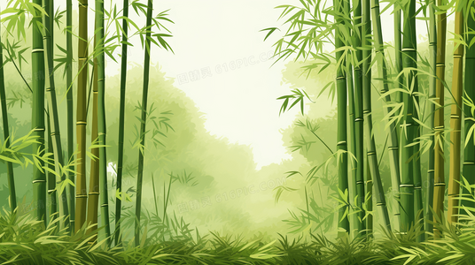 传奇继续：篮球冠军的辉煌与未来