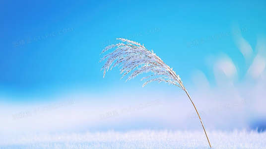 鬼面低语：揭开伤痕背后的禁忌真相