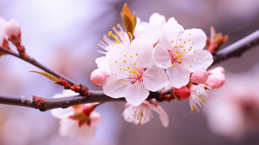 百度百科全纪录：每个你我拍摄地点与幕后花絮