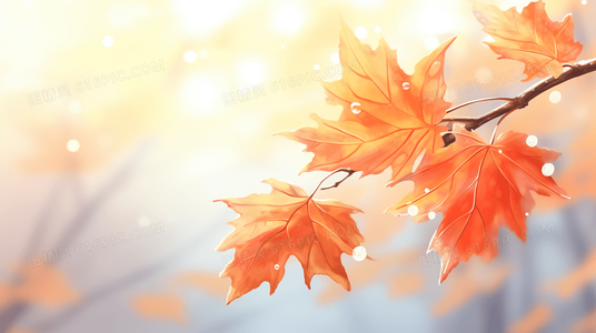 极寒中的铁血军魂解读长津湖的历史重量