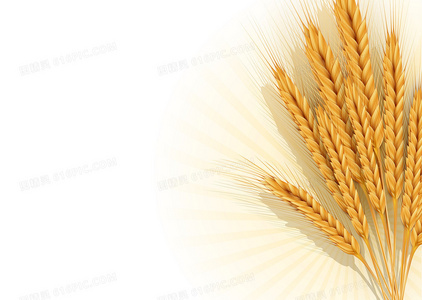 方言与演技的双重魅力:孝顺媳妇地方剧演员表特色解读