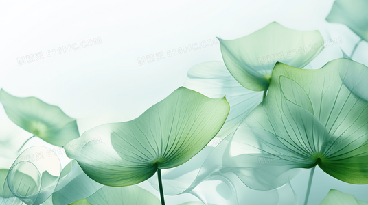 跨越阶级与健康的爱情:白朗宁夫妇私奔事件的社会回响