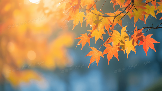 适可而止的艺术：解读“见好就收”