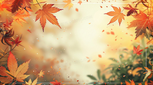 双面追凶:白与黑的致命游戏