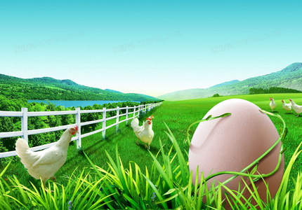 关中刀客之肉瓤子：江湖恩怨与一碗面里的血色江湖