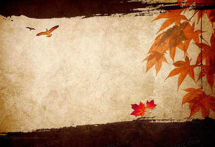 女性英雄的赞歌:莱奥诺拉形象在歌剧史上的突破