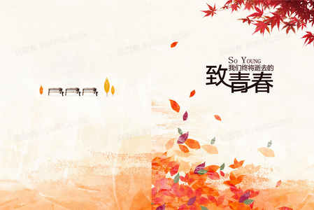 为她而驶:一场孤注一掷的自由狂奔