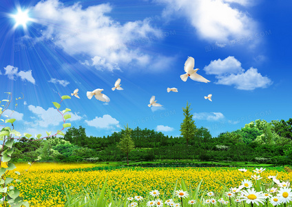 从牧羊女到民谣歌手:阿刁音乐中的自由与挣扎