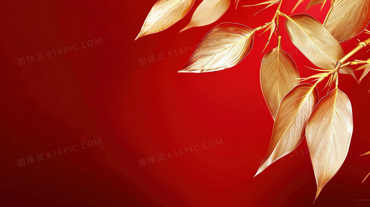 治愈系国漫回归:我是江小白第二季全集免费观看方式