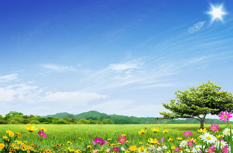 裙摆飞扬的浪漫：探秘法国康康舞舞团的美女舞者