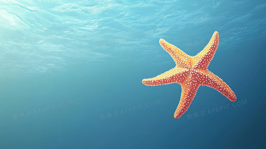 新灰姑娘1免费在线观看指南：正版平台与资源推荐