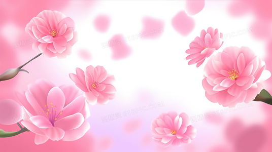 超越前作？空中大灌篮2票房数据分析与市场反响解读