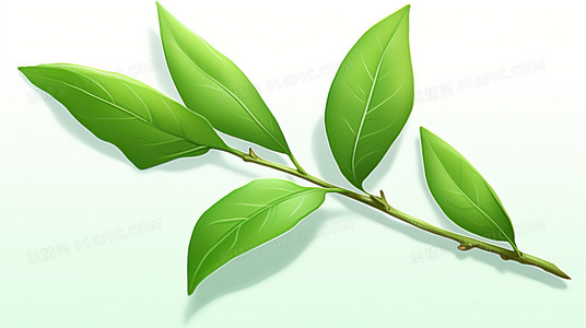 从餐饮到零售：白社长2新一季的商业模式创新解析