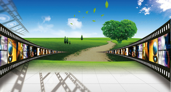 花瓣与像素:数码时代的赏花新视角