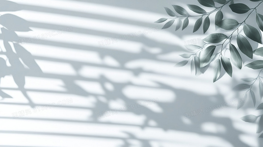 一拳破万法!物理魔法使马修第一季免费高清资源获取方式