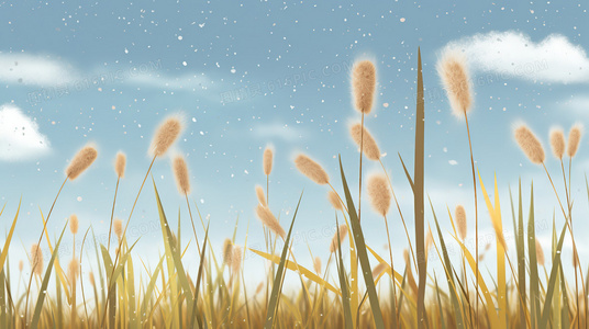 都市手艺人：理发店里的女性力量