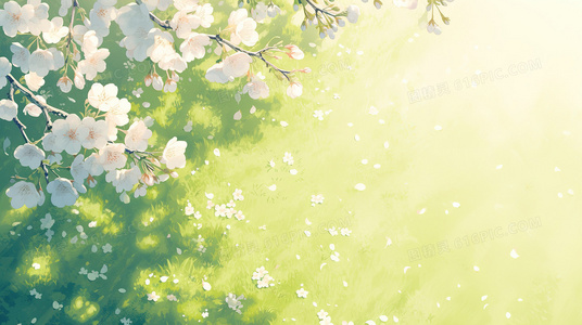 五灵之力VS芒果魔法！猪猪侠第五季新篇章开启