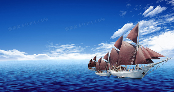 鲨鱼、谎言与录像带：食人鲨游戏的残酷真相