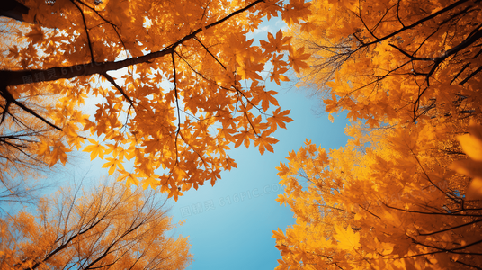 锁死这对CP！恋之光高人气情侣情感升温全解析