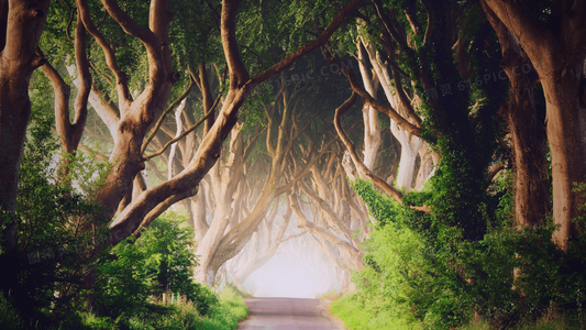 时光定格：刘德华版杨过剧照珍藏