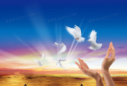 联盟、征伐、权谋：打天下2多人沙盘博弈的制胜之道