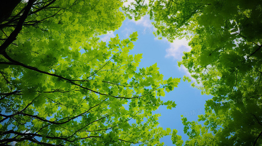 经典IP新篇章:金刚与光头神探的爆笑生死时速