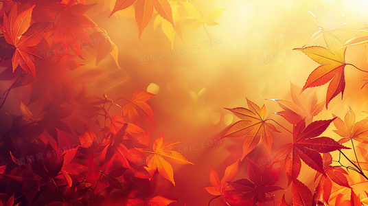 层层反转！迷雾刺杀在线观影体验与剧情深度解读