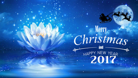 陪审员：普通人的正义天平