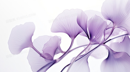 营养丰胸食谱:吃出健康丰满的胸部