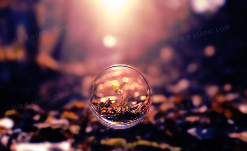 等待结束？狼狩猎2预计上映时间线深度解析