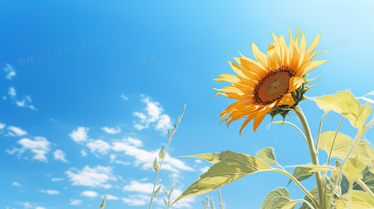 打破“第四面墙”的运用：第6集访谈镜头的情感冲击力