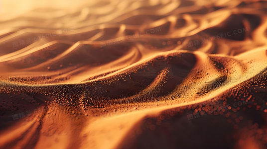 人生密密缝:在断裂处寻找连结的可能