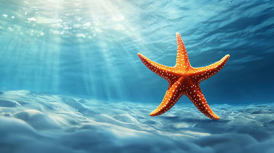 在路上与自己对话：长跑中的精神漫游