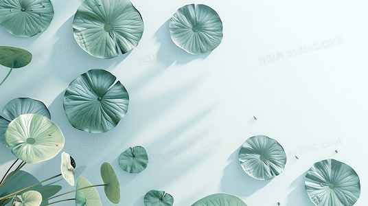 跨越时空的答案寻找她震撼收官解析