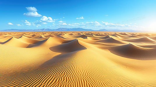 编辑部的故事2024：流量时代的新闻理想与生存博弈