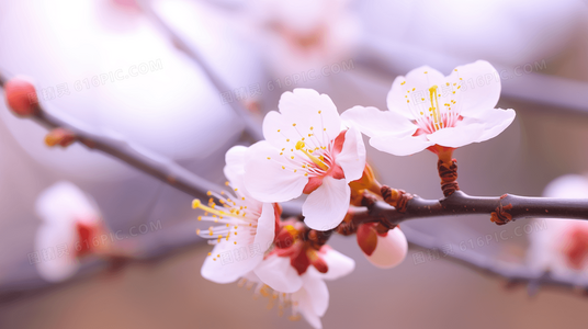 空中大灌篮2票房飘红,体育跨界电影是否迎来新风口?