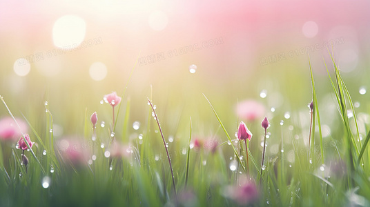 系统错误还是命运玩笑？我的账户凭空多出一亿