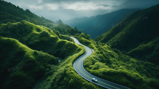 贝蒂与威尔玛：原始社会中的智慧女性力量