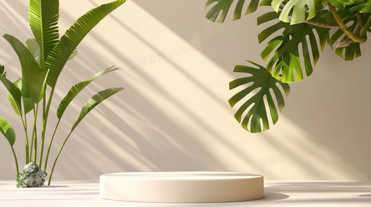 文化冲突与情感共鸣:可可母女对话场景的戏剧张力