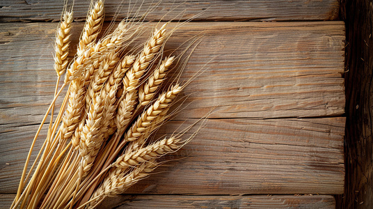 新兵正传4：终极挑战，用汗水与笑声告别军营