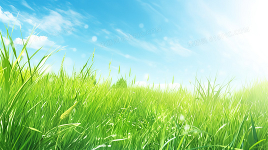 僵尸复活完整版:灾难来临前的必备知识