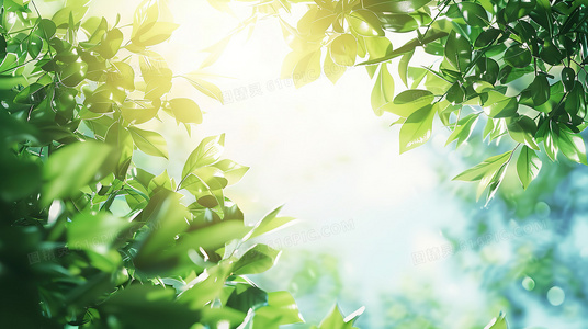 笑声与尖叫之间：一场无法预料的公路逃亡