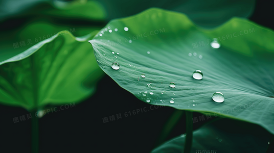 从明夷卦看逆境：如何化“凶”为“吉”？